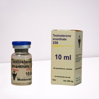 Testosterone enanthate 250 mg Moldavian Pharma
